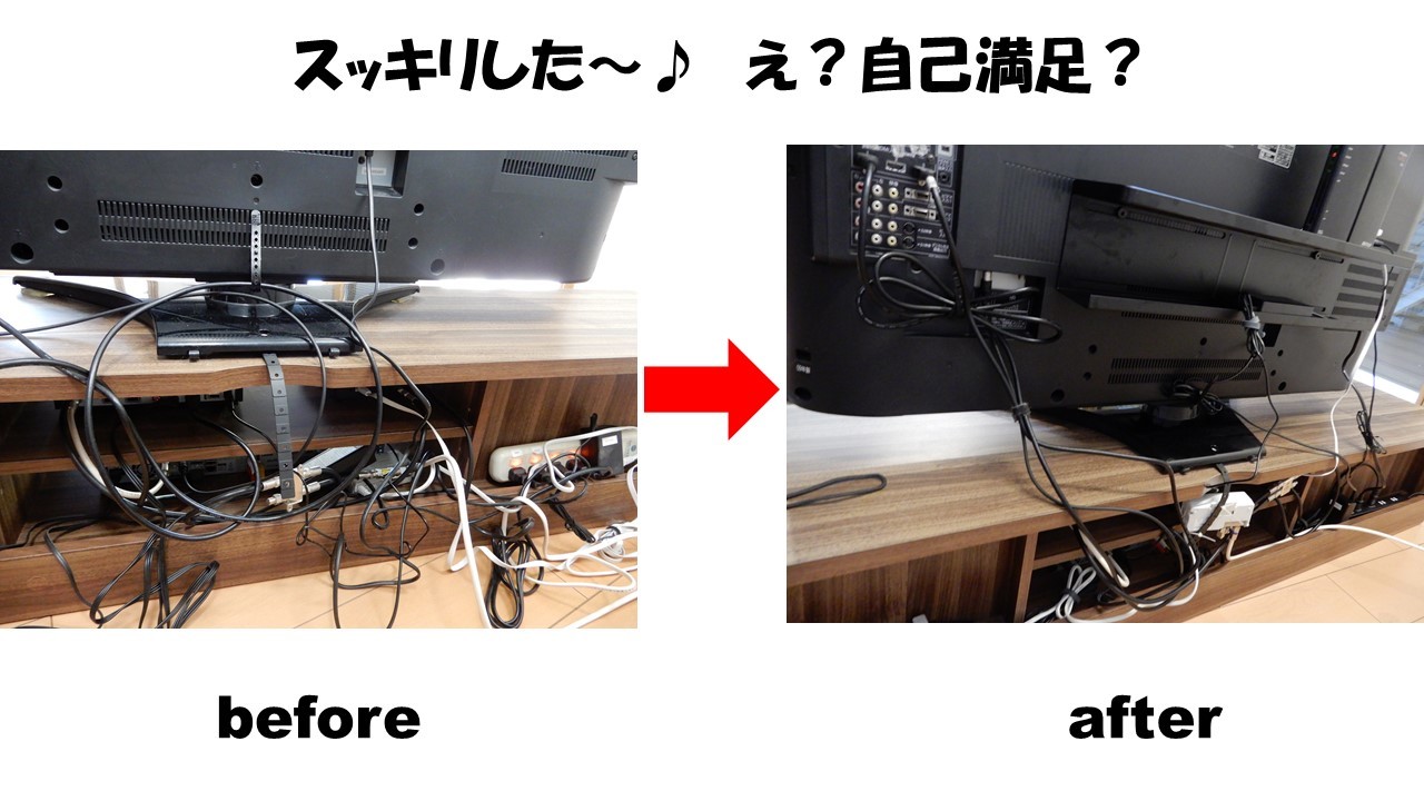 むぎ9歳!_c0259945_12352796.jpg