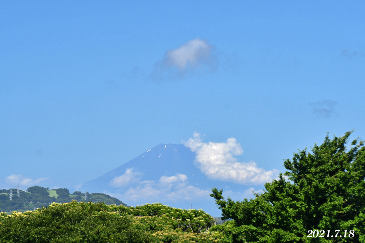 7月18日・20日  『自宅から90km先の富士2021』_d0251161_12564302.jpg