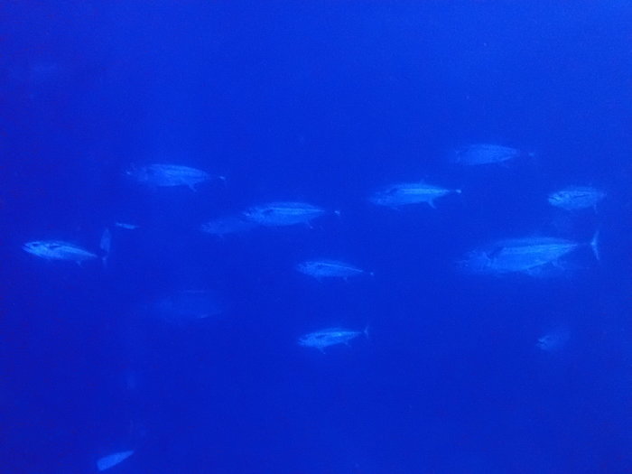 210812  おかえりサマー_a0335173_18564932.jpg