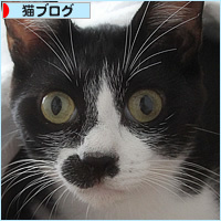 イレーネのおしっこ対策_a0389088_18255429.jpg