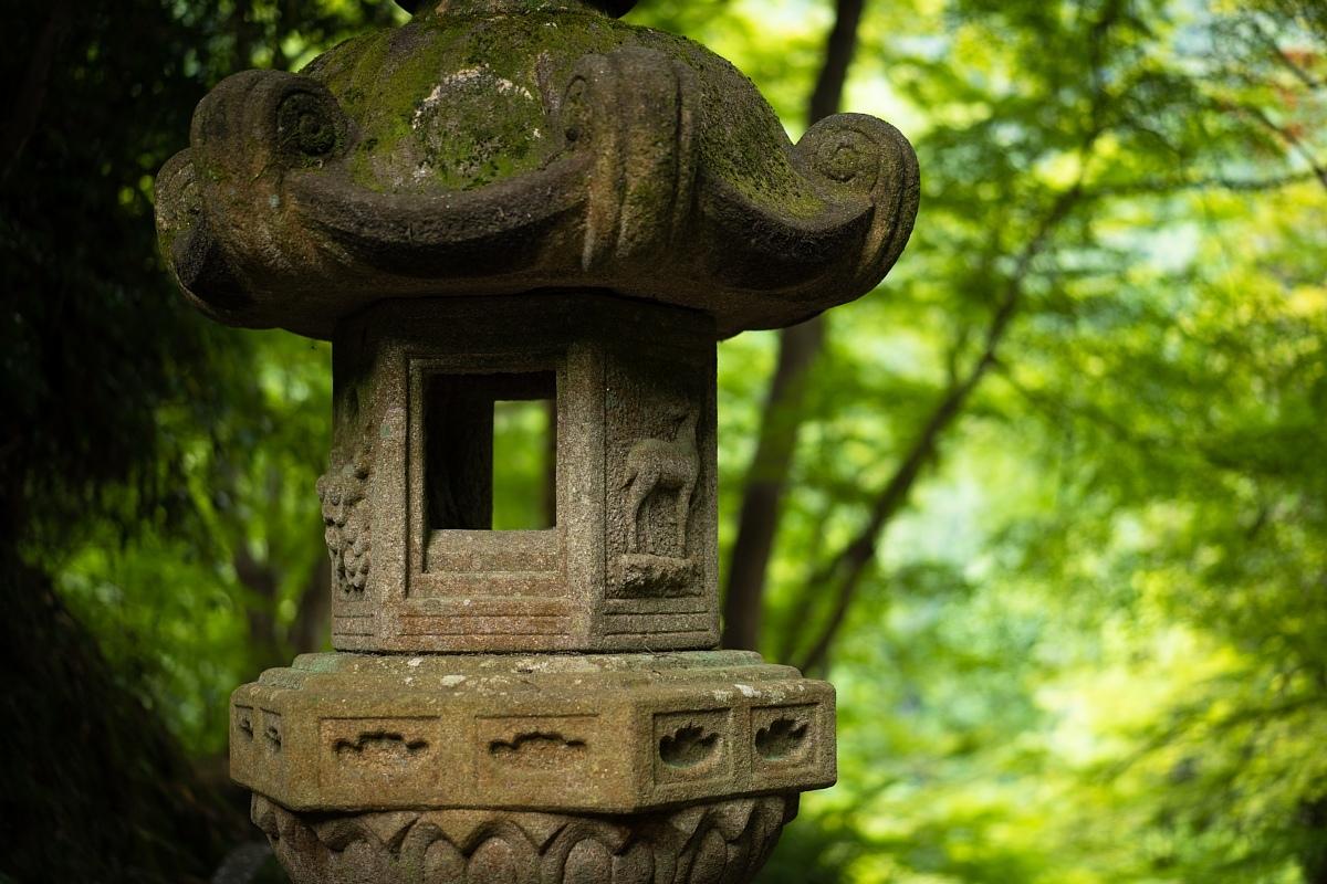 もみじの開祖がいたお寺_d0353489_14493071.jpg
