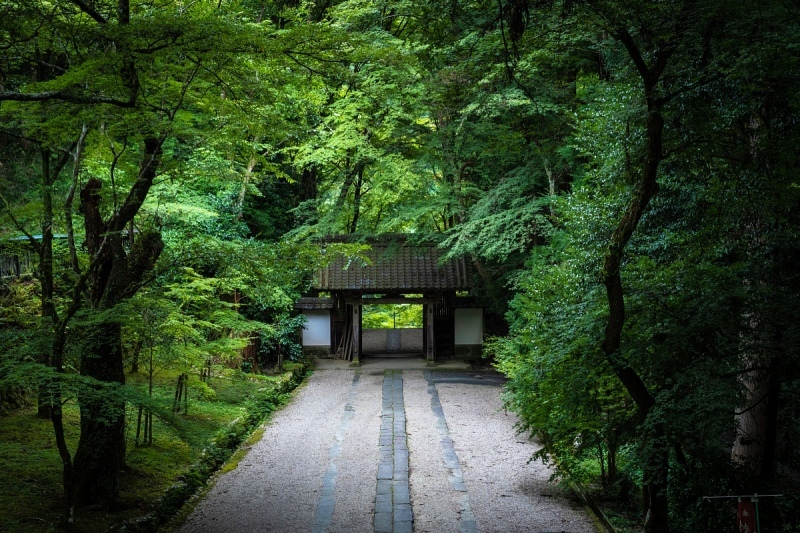 もみじの開祖がいたお寺_d0353489_14502353.jpg
