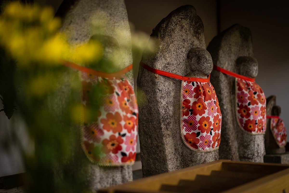 もみじの開祖がいたお寺_d0353489_14533102.jpg