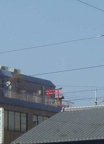 ●神社の造形―恋愛成就、商売繁昌の願掛け_d0053294_22343191.jpg