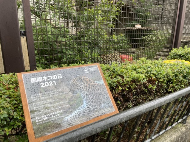 先週末にイベントを開催しました!_c0290504_17074832.jpg