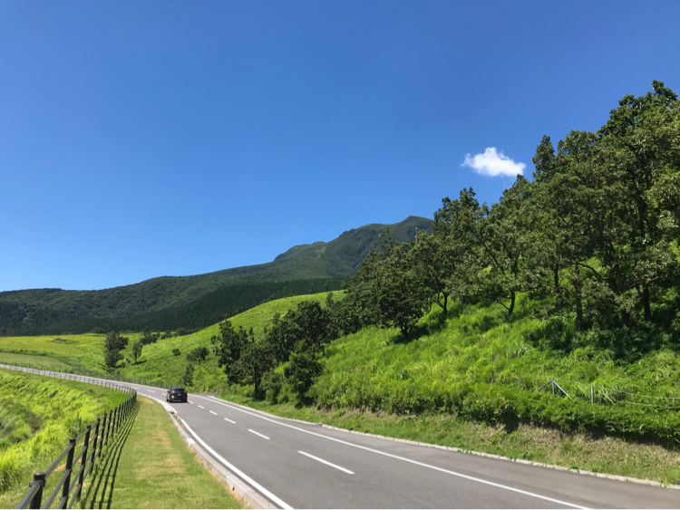 夏の風景 自然を見つめて自分と向き合う心の花