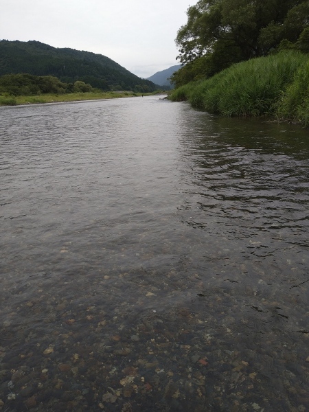 ★　水曜日は雨降らん　(・ω・)ノ　★　メガネのノハラ　イオン洛南店　釣り三昧ブログより　鮎釣り　友釣り_c0221718_15513379.jpg