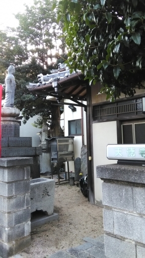 全く動けずデブ一直線?ですやん!_f0056935_10544906.jpg