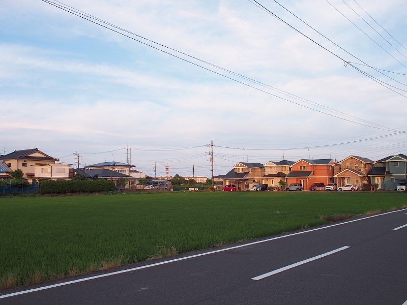 【珍來研究⑩】珍來東金店グループの本拠地で「うま煮めん」_b0008655_11524384.jpg