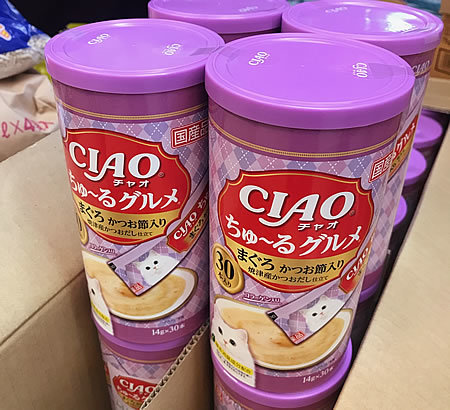 本日は振り替えワンニャンデー!!_e0362456_11232132.jpg