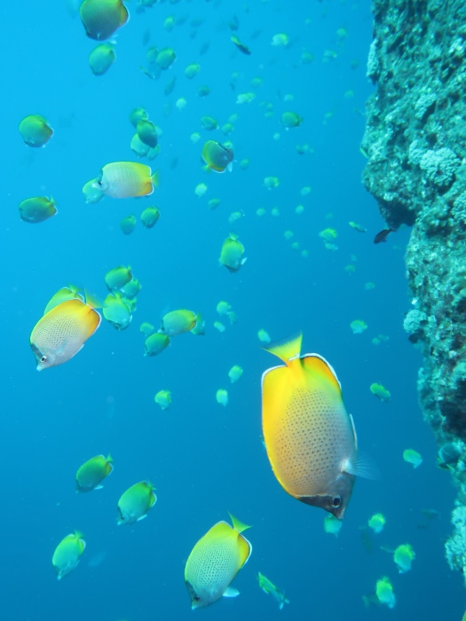 210813 いざ！嫁島！_a0335173_18325871.jpg