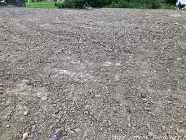 更地になった実家を見て思うこと_c0293787_09585194.jpg