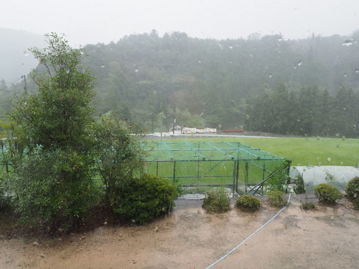 今日も雨の一日_c0116915_23381114.jpg