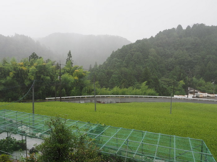 今日も雨の一日_c0116915_23382251.jpg