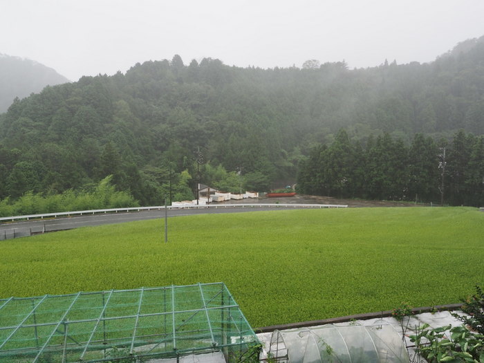 今日も雨の一日_c0116915_23382922.jpg