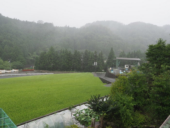 今日も雨の一日_c0116915_23384034.jpg