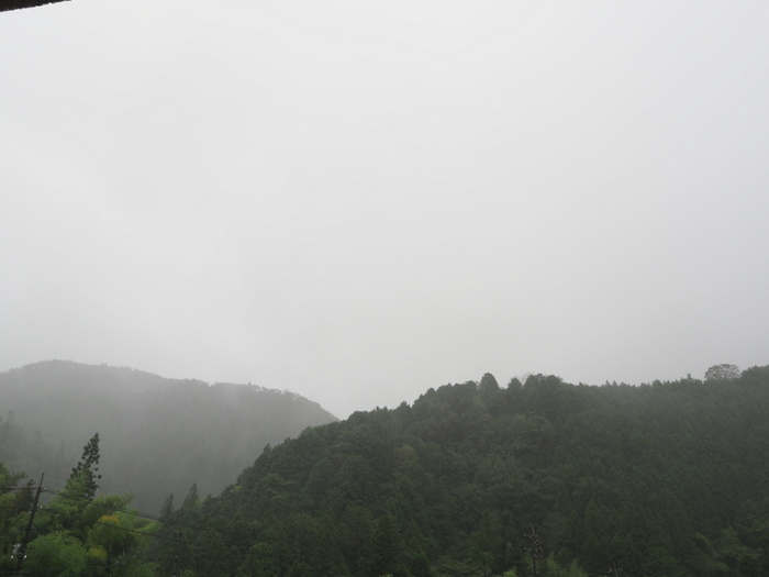 今日も雨の一日_c0116915_23390298.jpg