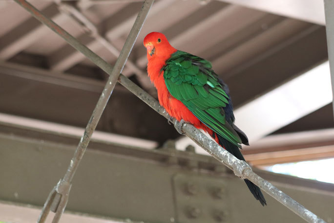 キャンベルタウン野鳥の森～観察棟からの眺め_b0355317_20290970.jpg