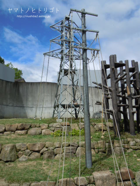 東山動物園④_e0394031_06573614.jpg