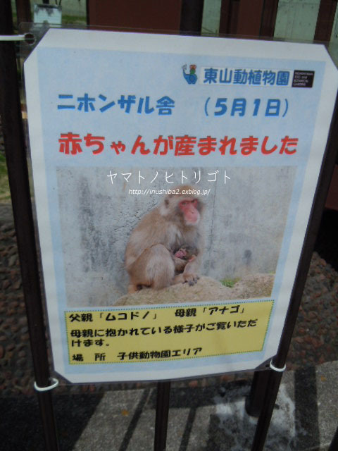 東山動物園④_e0394031_06574366.jpg