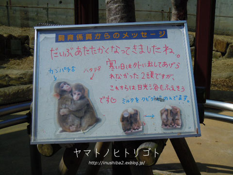 東山動物園④_e0394031_06575091.jpg