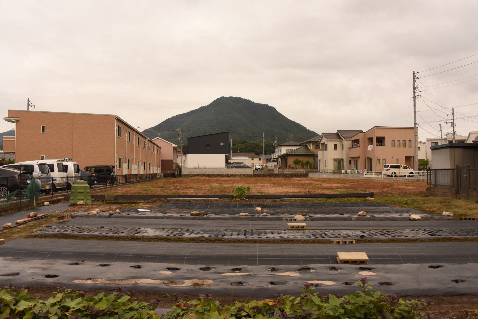 雨音が聞こえる_c0122455_08183100.jpg