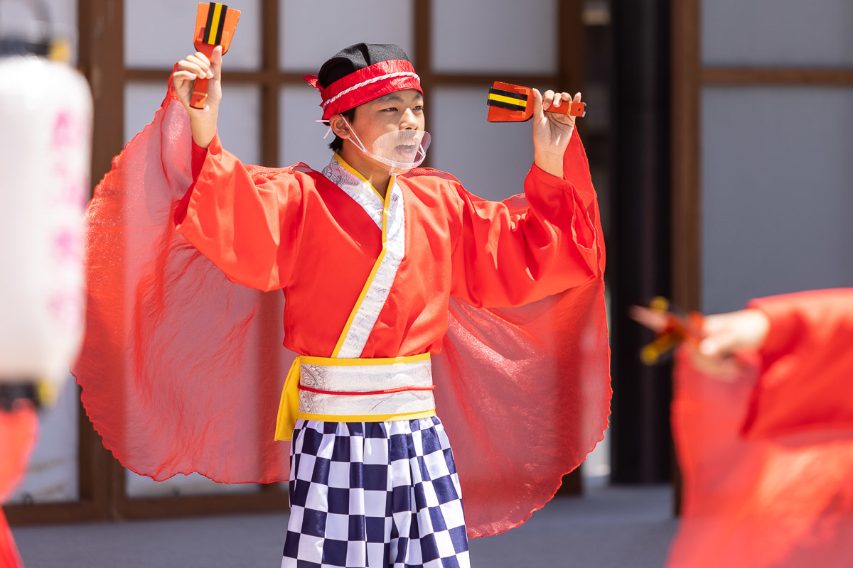 たびひろよさこい 上町よさこい鳴子連 その4_a0077663_17173244.jpg