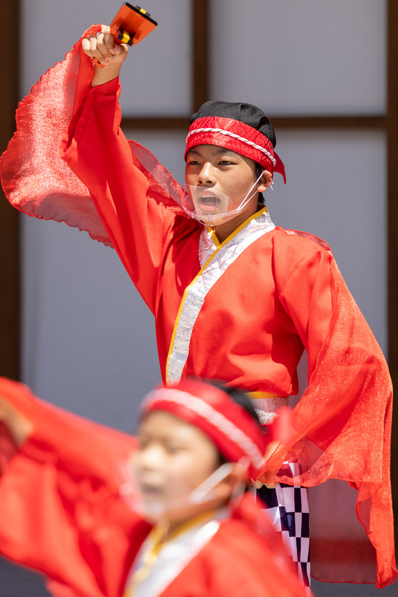たびひろよさこい 上町よさこい鳴子連 その4_a0077663_17174044.jpg