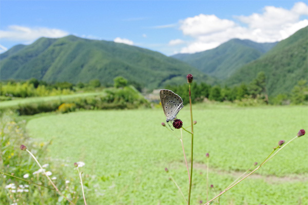 中信の山へ　後編_e0167571_22081839.jpg