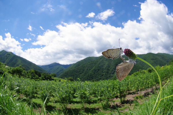 中信の山へ　後編_e0167571_22095400.jpg