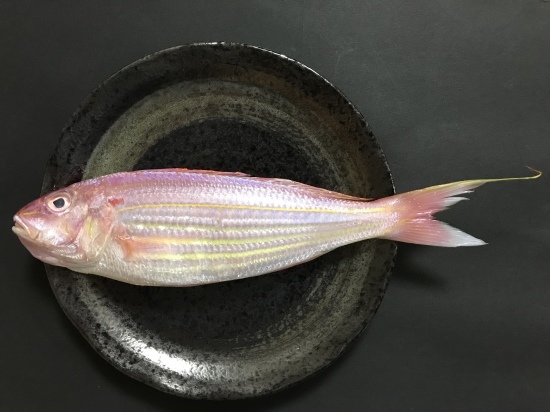 イトヨリのソテー 2種類 ぼっちオバサン食堂