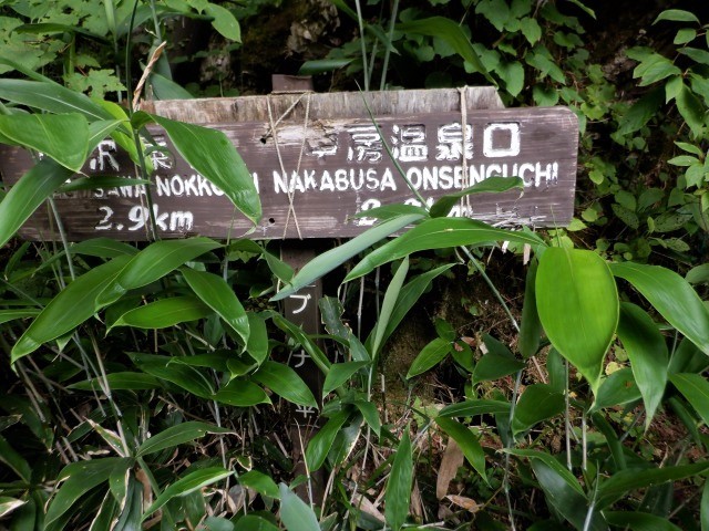 中部山岳　餓鬼岳見参　廃道探検のような中房川コースで中房温泉へ　　　　　Mount Gaki in Chūbu-Sangaku National Park_f0308721_07513173.jpg