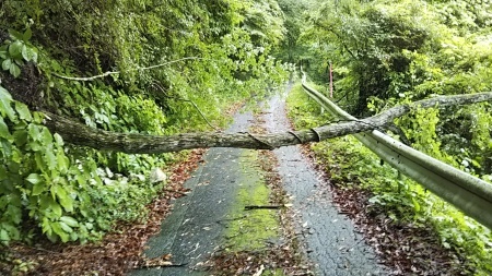 断続的にひどい雨。_f0114346_09151481.jpg