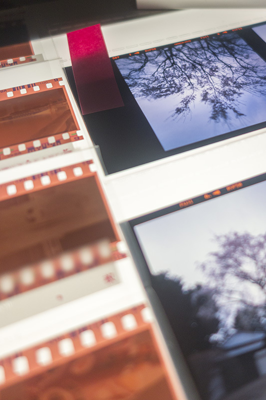 HOLGA EXPO 2021 大阪開催を終えて_d0392450_22134131.jpg