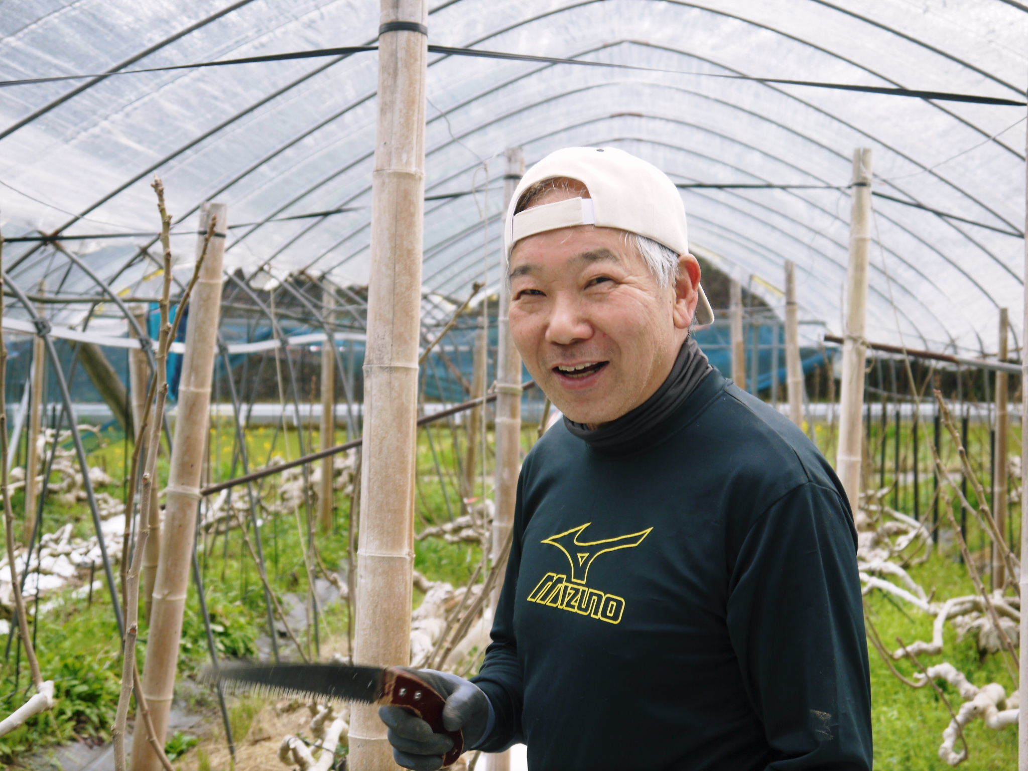 『甘熟いちじく』好評発売中!暑い夏に!美味しい上に消化促進、二日酔い防止効果も期待できるいちじくです_a0254656_17283585.jpg