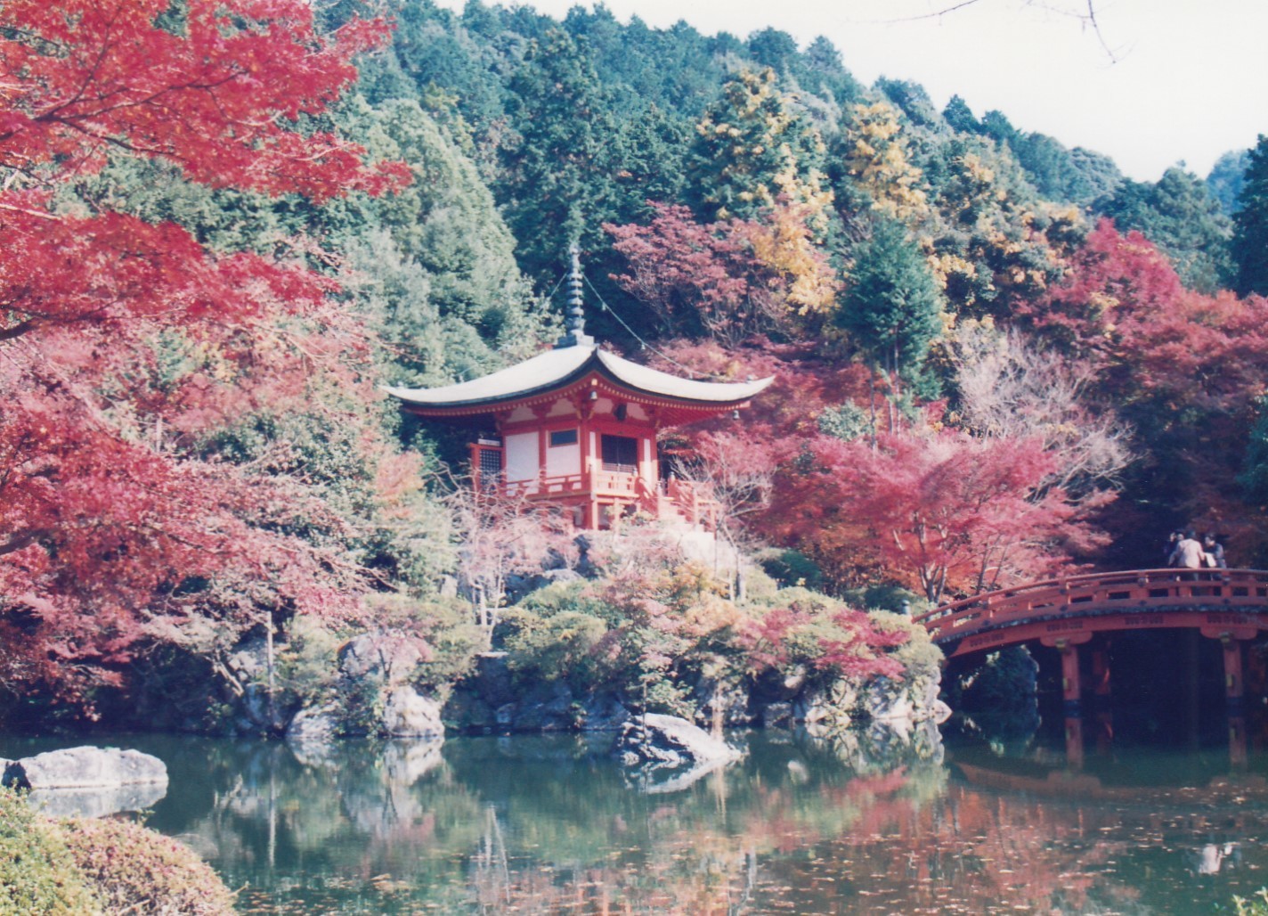 1999/11京都王道紅葉紀行~東福寺、夜間東山、嵯峨野、醍醐寺、随心院_b0116271_13491034.jpg