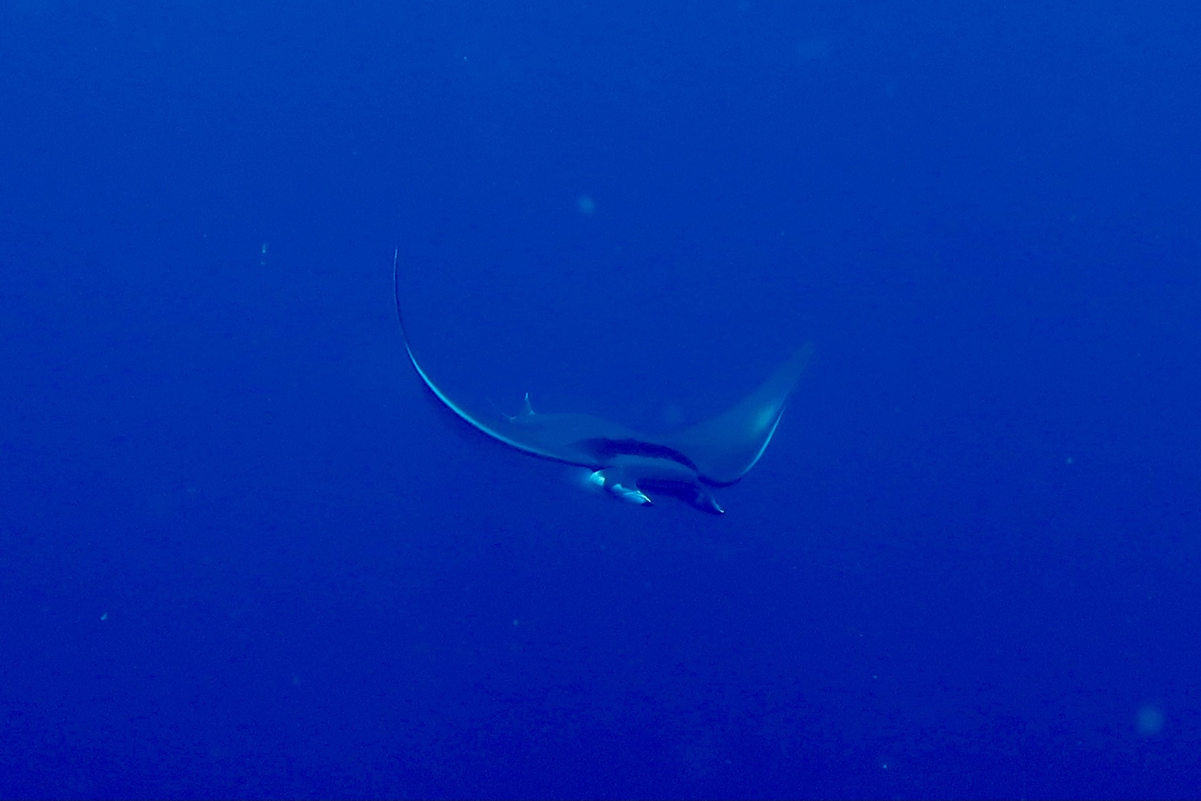 210815 巽巽巽_a0335173_17142987.jpg