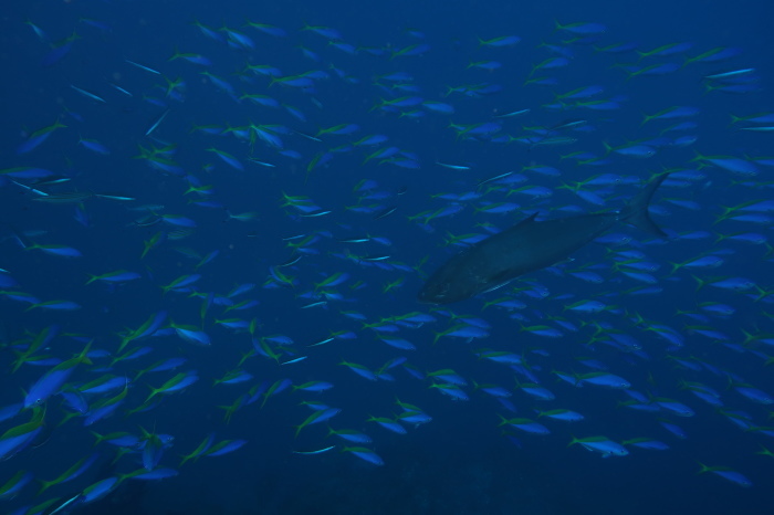 210815 巽巽巽_a0335173_17145184.jpg