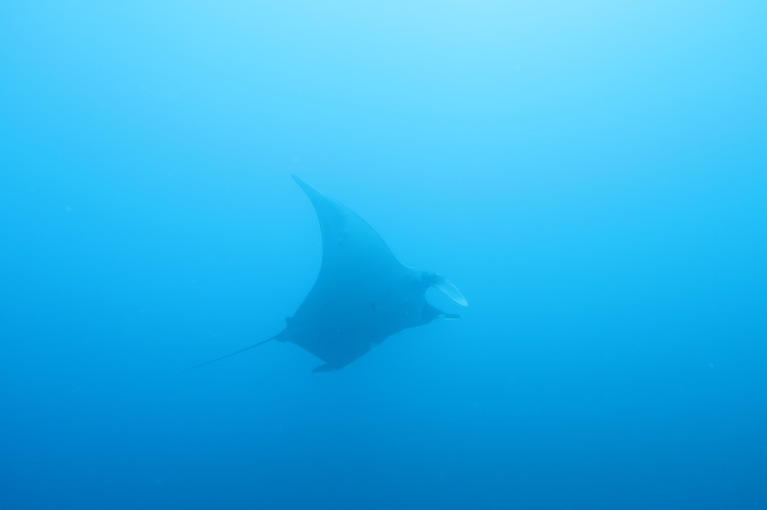 210815 巽巽巽_a0335173_17145854.jpg