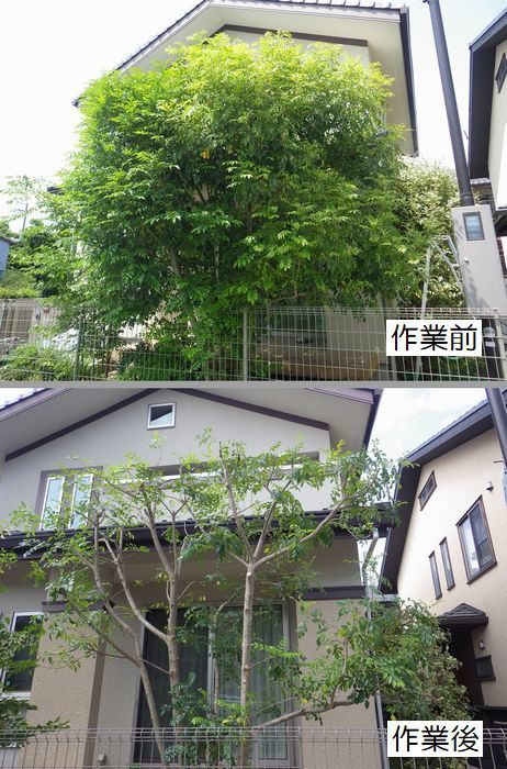 ご依頼-樹種-NO2_b0399773_16195539.jpg