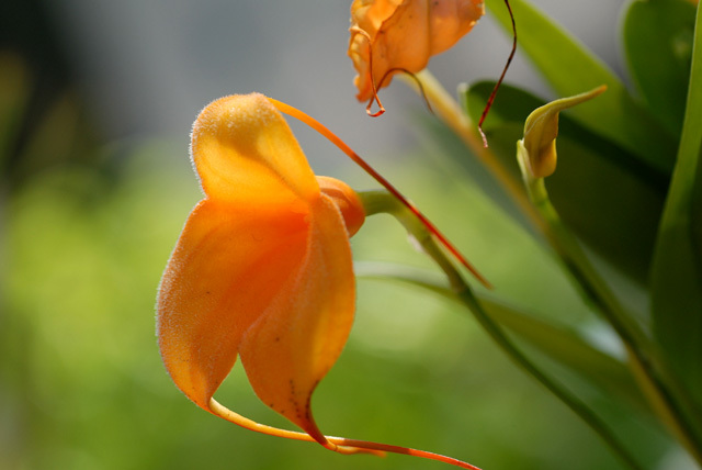 花は賢いなぁ~_d0085887_19464901.jpg