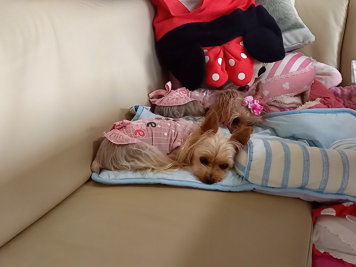恒例になりつつあるお泊り_c0191390_22424917.jpg