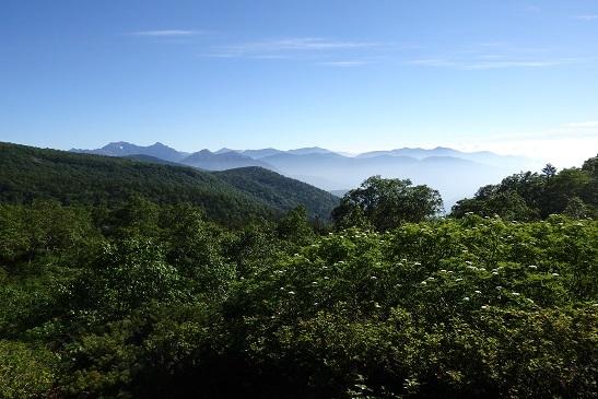 乗鞍岳 三本滝から剣ヶ峰 (2021年7月23日)_d0032405_20041359.jpg