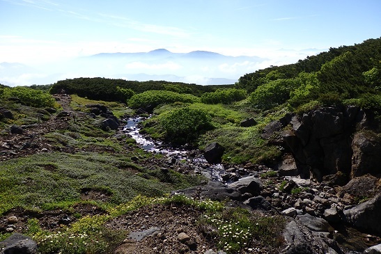 乗鞍岳 三本滝から剣ヶ峰 (2021年7月23日)_d0032405_20044822.jpg