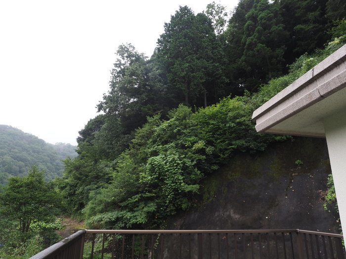 曇り時々小雨_c0116915_23500402.jpg