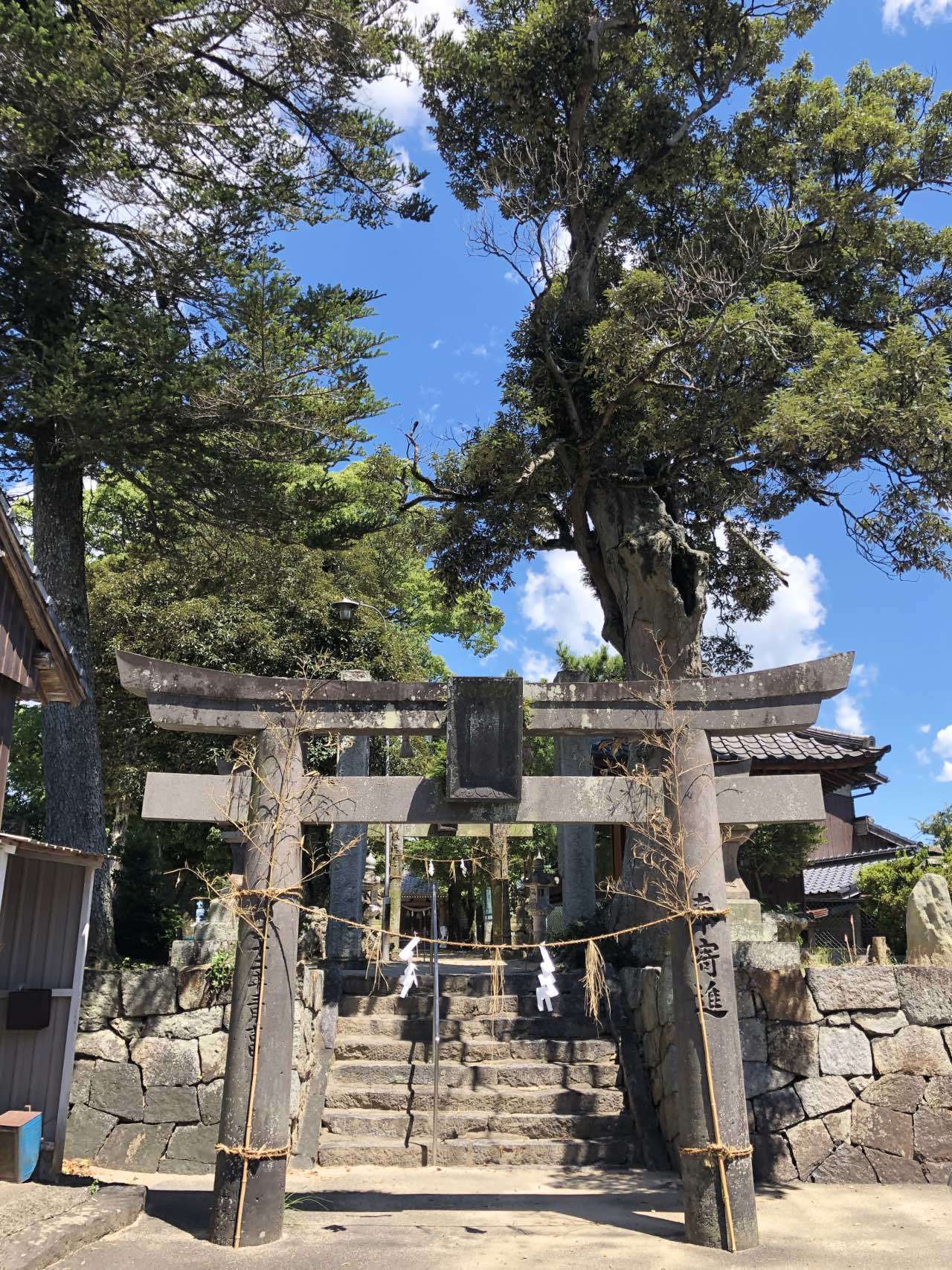 津古八龍神社　福岡県小郡市津古_b0023047_03445619.jpg