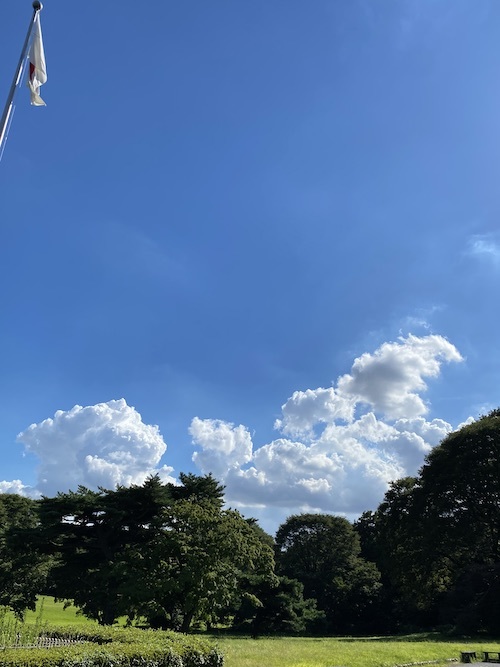 翼がほしくて、生きている?!_c0113755_01271888.jpg