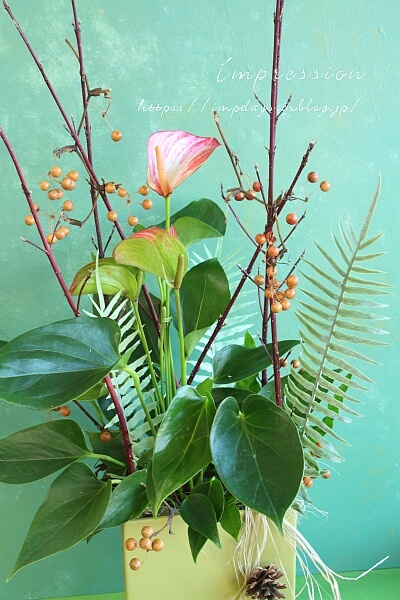 定期装花から：プランツアレンジ_a0085317_15124783.jpg