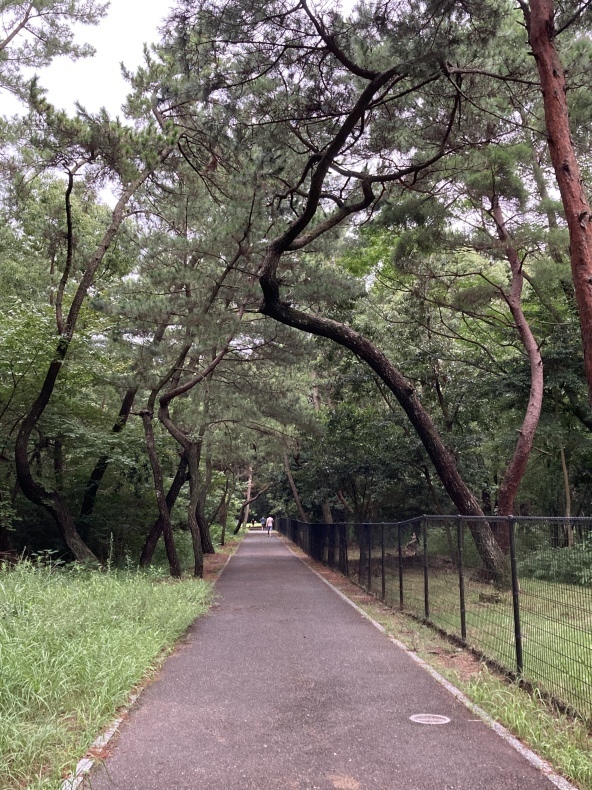 県道 土砂崩れ通行止め と 妊婦検診_c0351235_08355798.jpeg