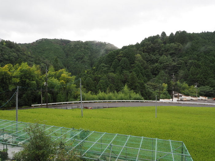 雨時々曇り_c0116915_00045821.jpg
